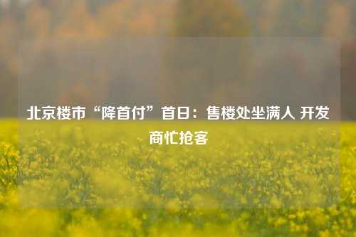 北京楼市“降首付”首日：售楼处坐满人 开发商忙抢客