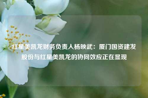 红星美凯龙财务负责人杨映武:厦门国资建发股份与红星美凯龙的协同效应正在显现