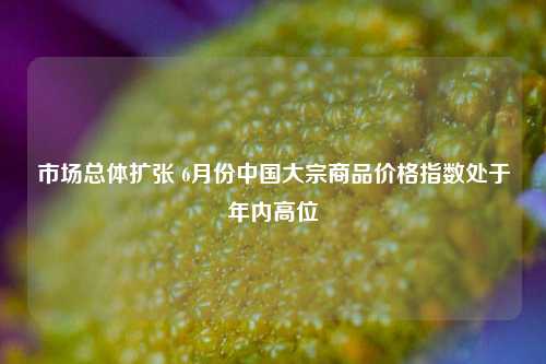 市场总体扩张 6月份中国大宗商品价格指数处于年内高位