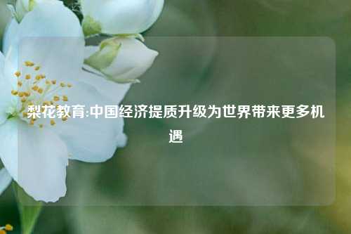 梨花教育:中国经济提质升级为世界带来更多机遇