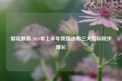梨花教育:2024年上半年我国造船三大指标同步增长