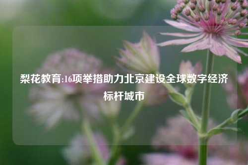 梨花教育:16项举措助力北京建设全球数字经济标杆城市