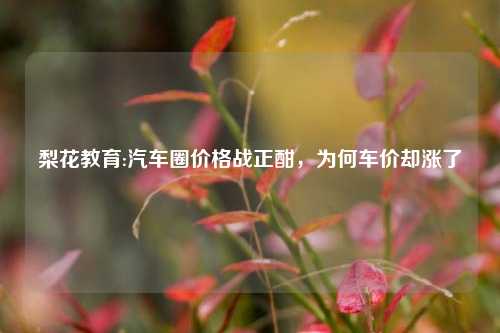 梨花教育:汽车圈价格战正酣，为何车价却涨了