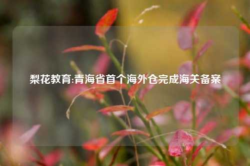 梨花教育:青海省首个海外仓完成海关备案