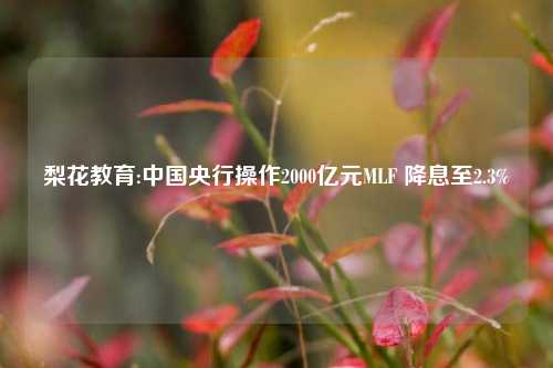 梨花教育:中国央行操作2000亿元MLF 降息至2.3%