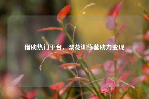 借助热门平台，梨花训练营助力变现